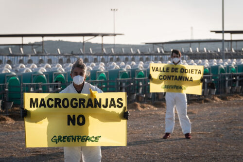 voluntariado-acciones