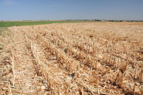 Una granja en Estados Unidos