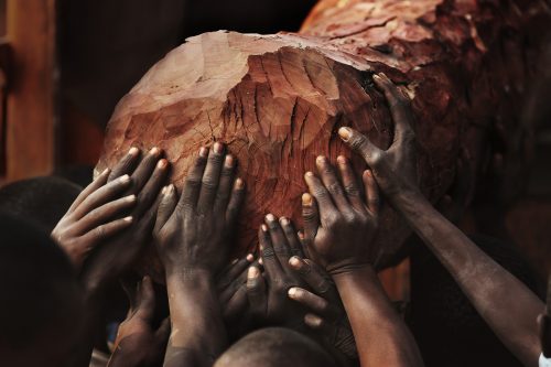 Madera dura ilegal en la República Democrática del Congo