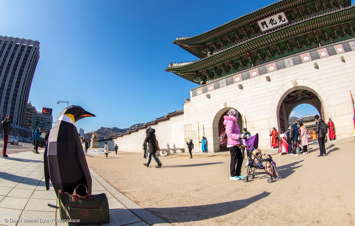 Pingüino de papel en la plaza Gwanghwamun en Corea del Sur.