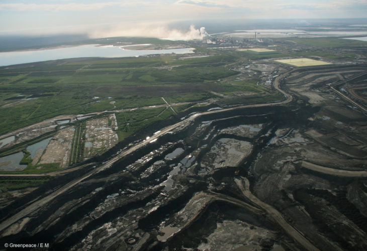 blog en vivo greenpeace