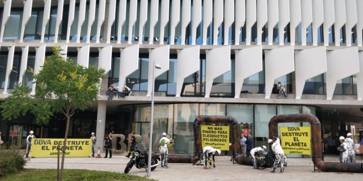 blog en vivo greenpeace