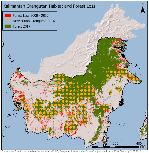Deforestación hábitat orangután