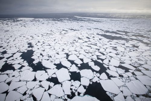 Deshielo Ártico