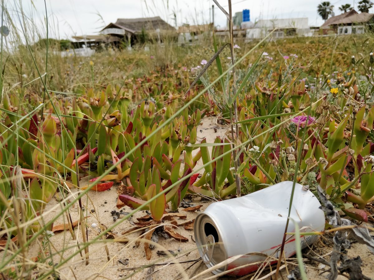 Playa urbanizada de El Palmar, en Cádiz