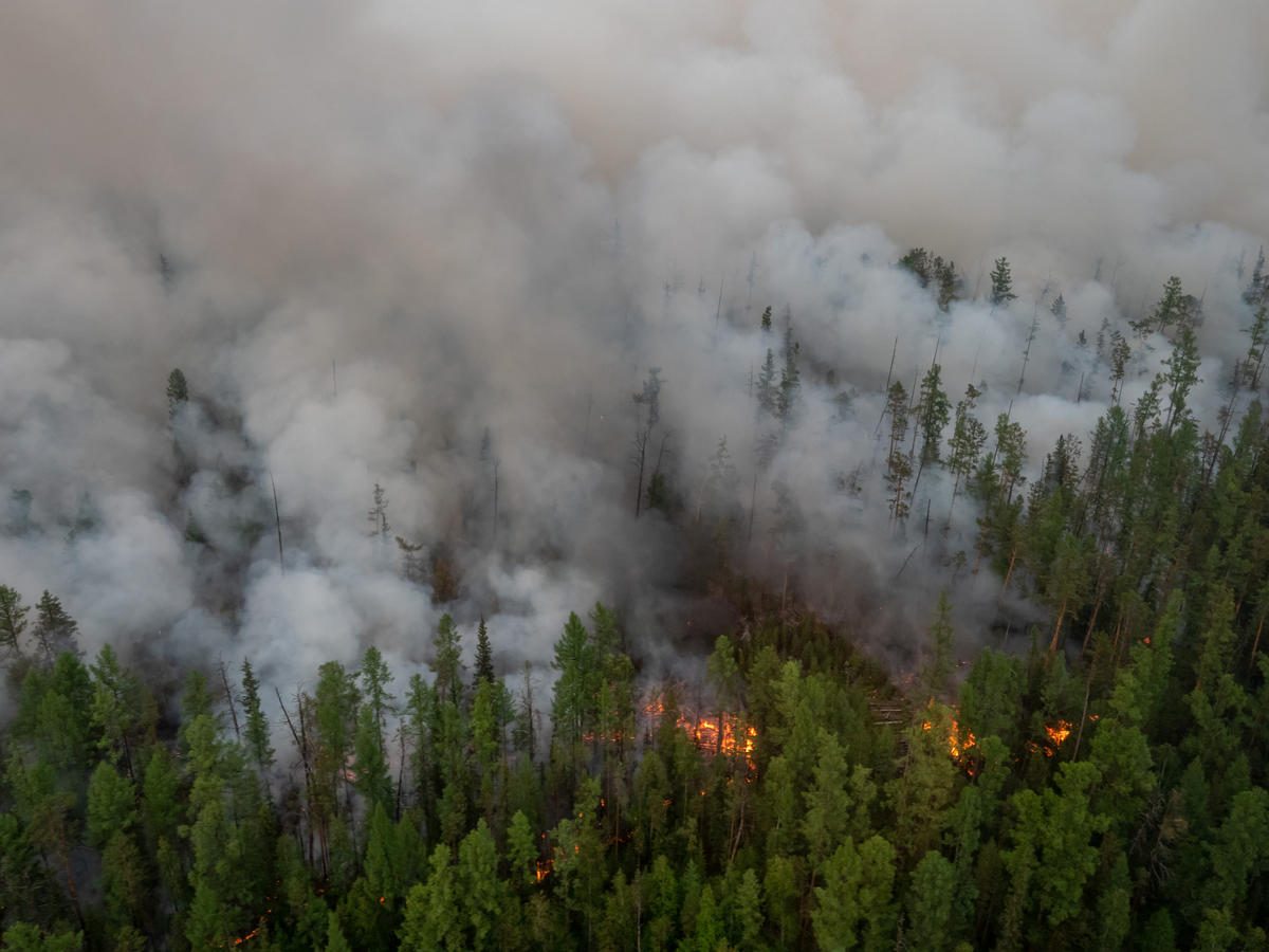 Incendios en Siberia