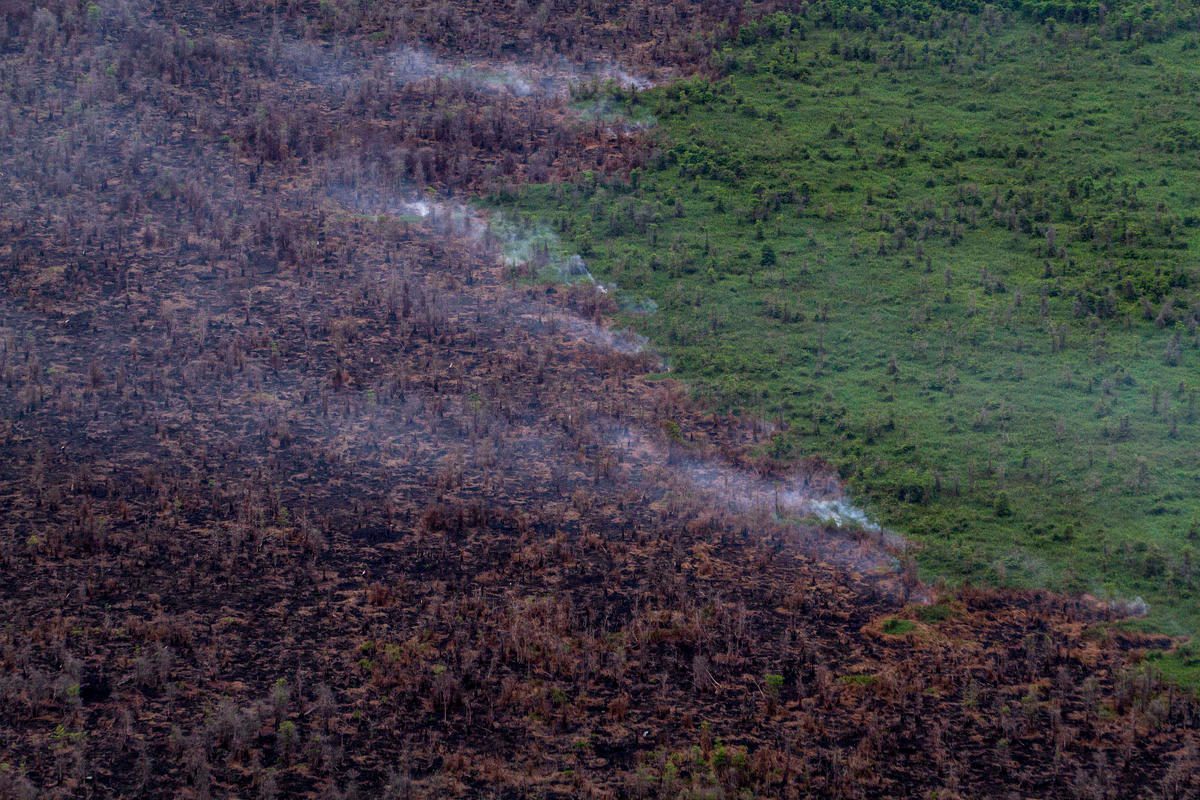 Un bosque arde en Kalimantan en el año 2015.
