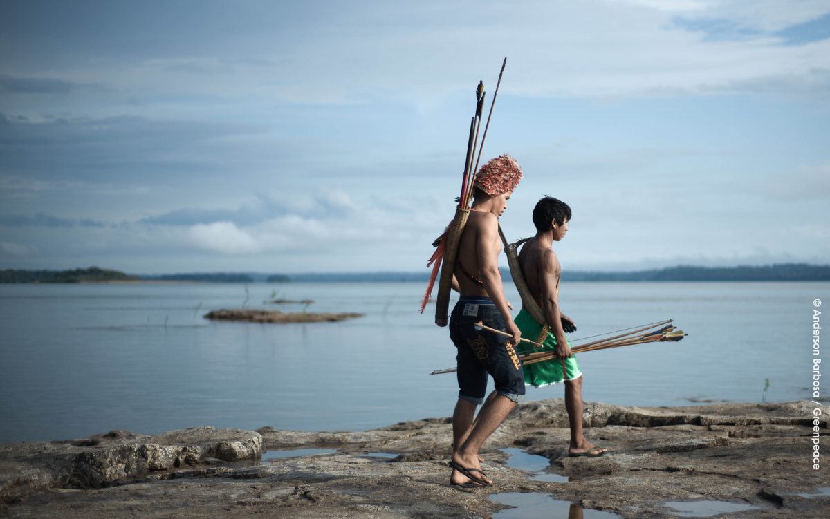 Indígenas Brasil y COVID