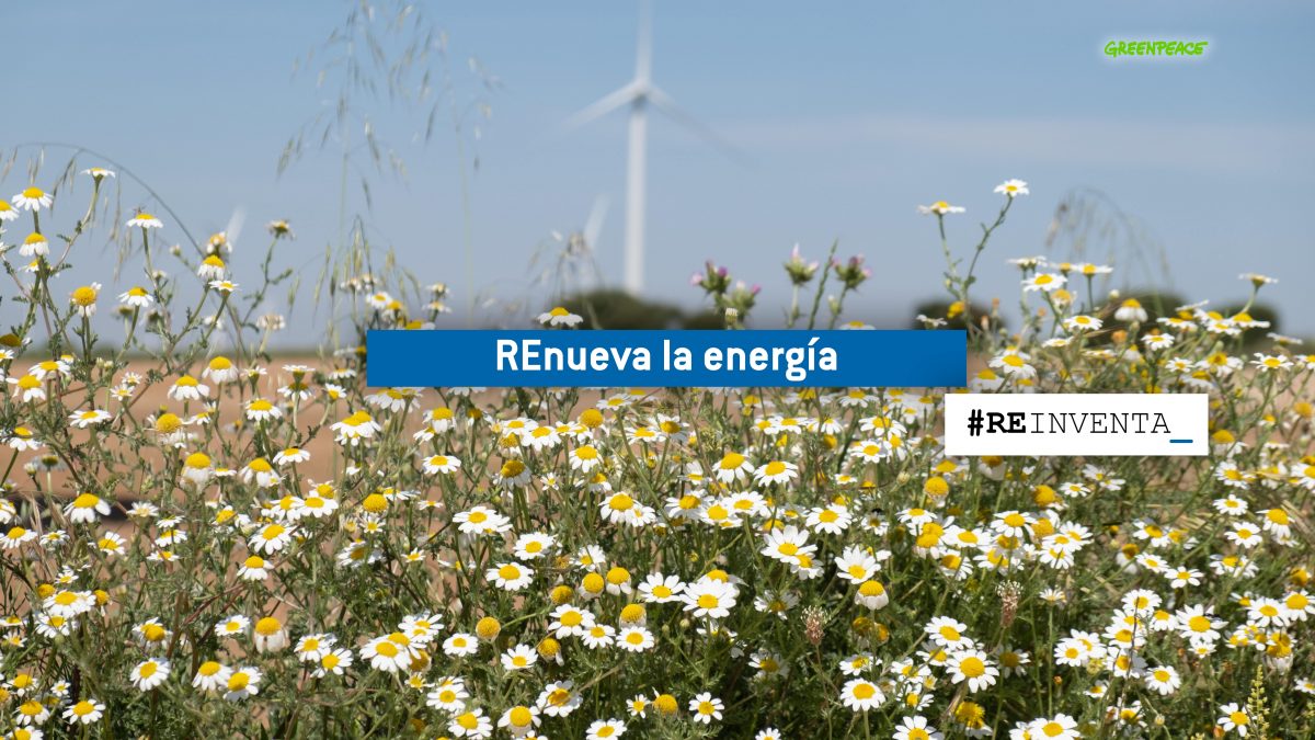 renueva la energia