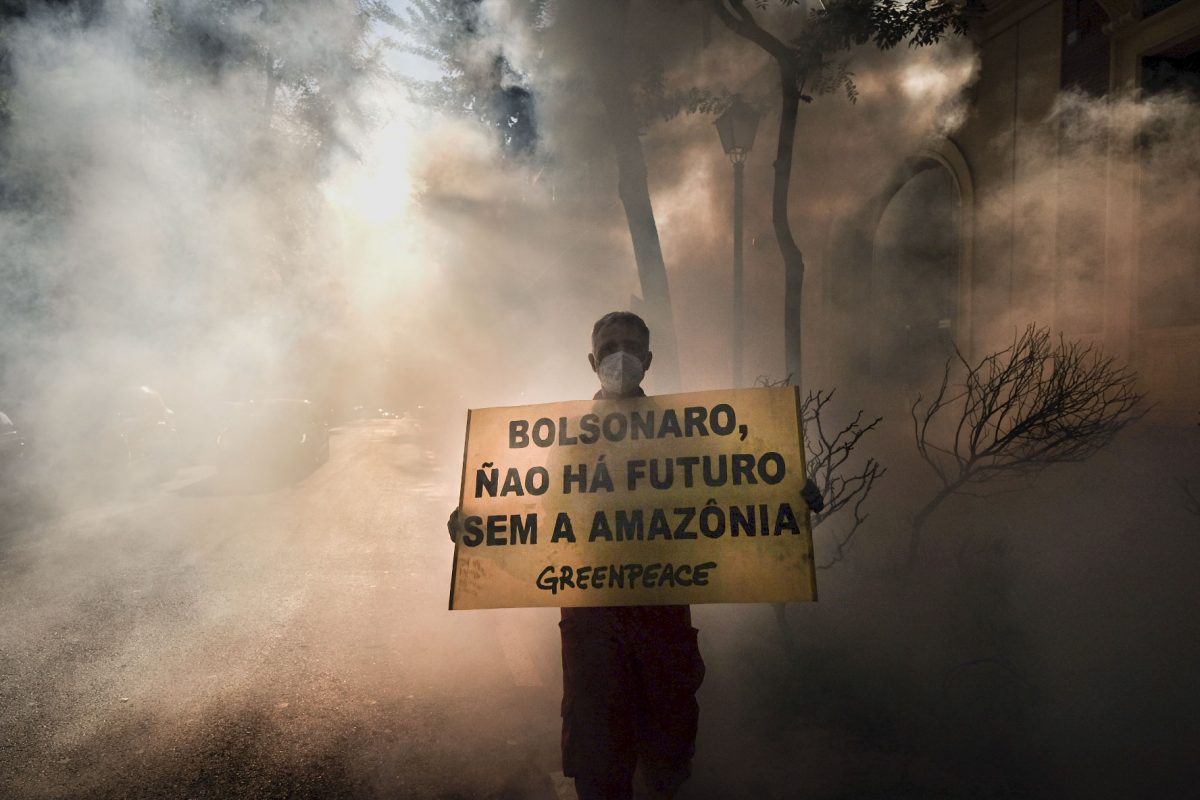 Acción Embajada Brasil