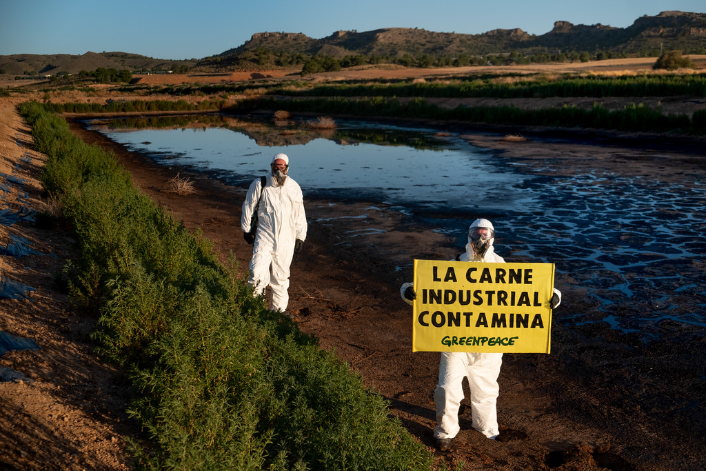 Acción de Greenpeace contra la ganadería industrial