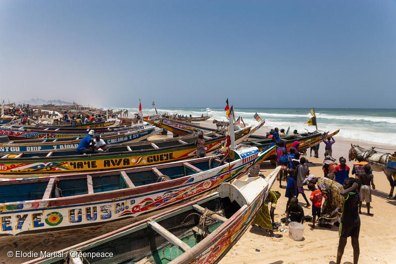 Vida cotidiana en Fass Boye, Senegal.