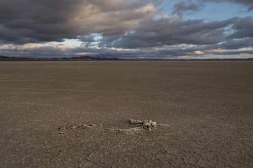 Sequía en la Laguna de Gallocanta