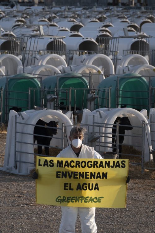 acción de Greenpeace en macrogranja industrial