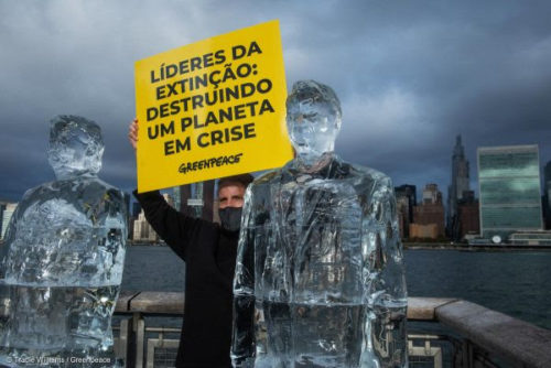 acción greenpeace bolsonaro trump