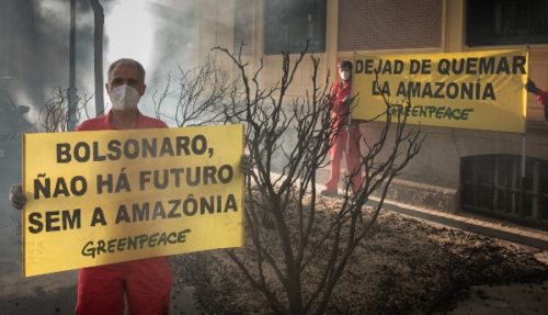 Bolsonaro quema amazonas