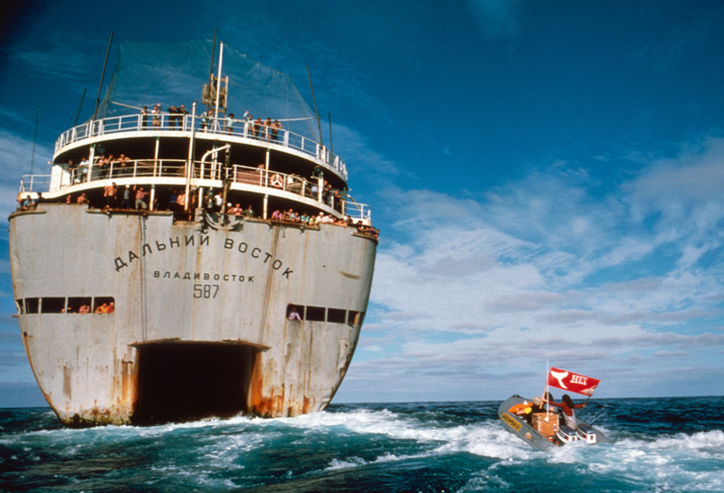 accion-mar-greenpeace