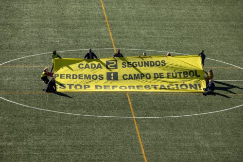 Cada dos segundos perdemos una superficie de bosque similar a la superficie de un campo de fútbol.