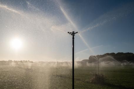 Riego en un campo de Zaragoza