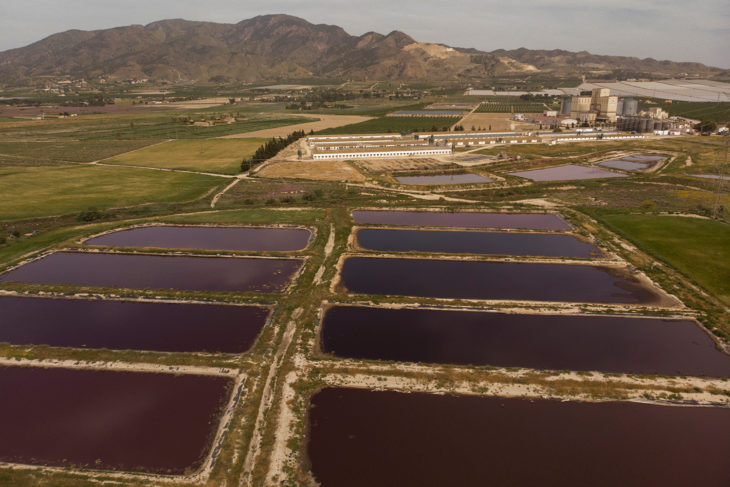 Balsas de purines en la granja porcina de Cefusa, Grupo Fuertes