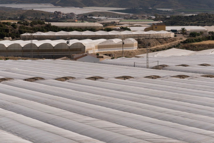Invernaderos junto al mar de la empresa Paloma en Mazarrón, Región de Murcia