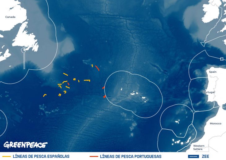 Líneas de palangres