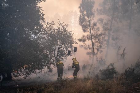Incendio en Verin, Ourense