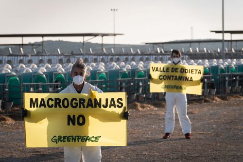 voluntariado-acciones