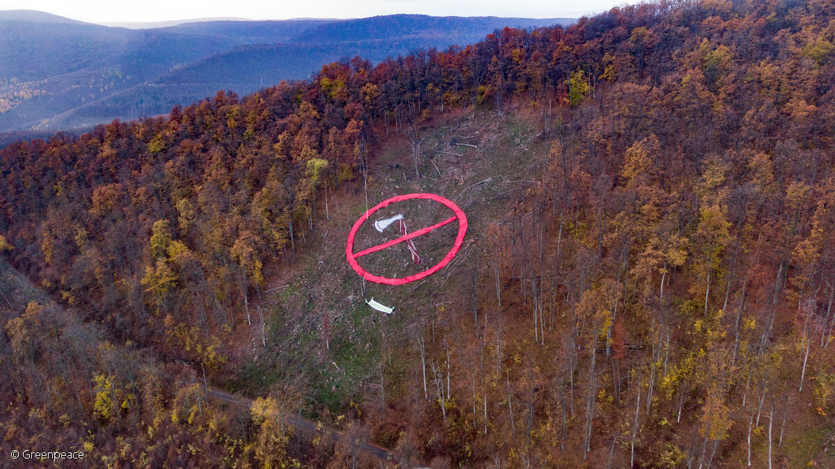 La UE irá a la conferencia de biodiversidad #COP15 de la ONU en Montreal y presumirá de sus credenciales verdes