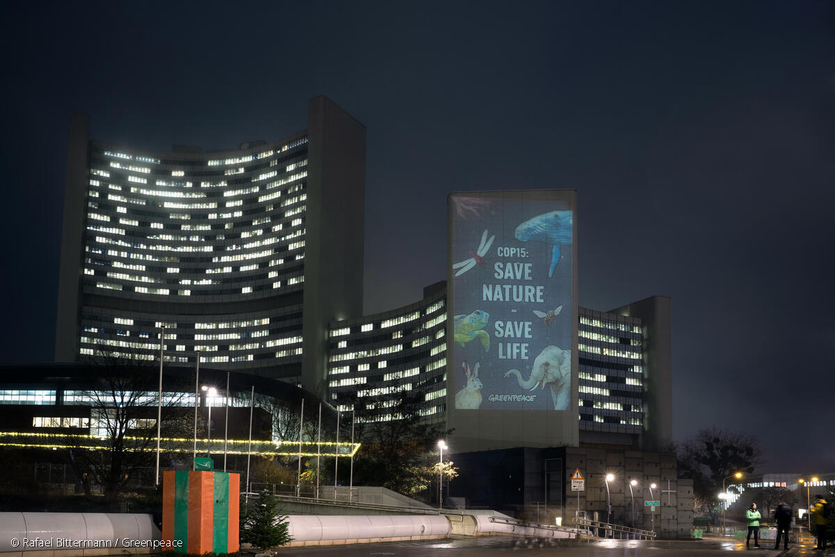 One Day for Nature - Projection Action at UNO-City in Vienna