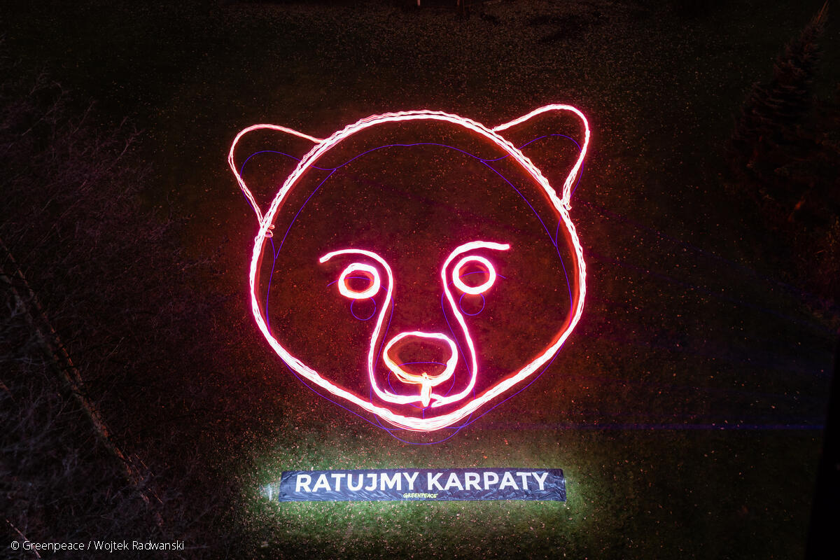 Light Painting Nature Action in Poland