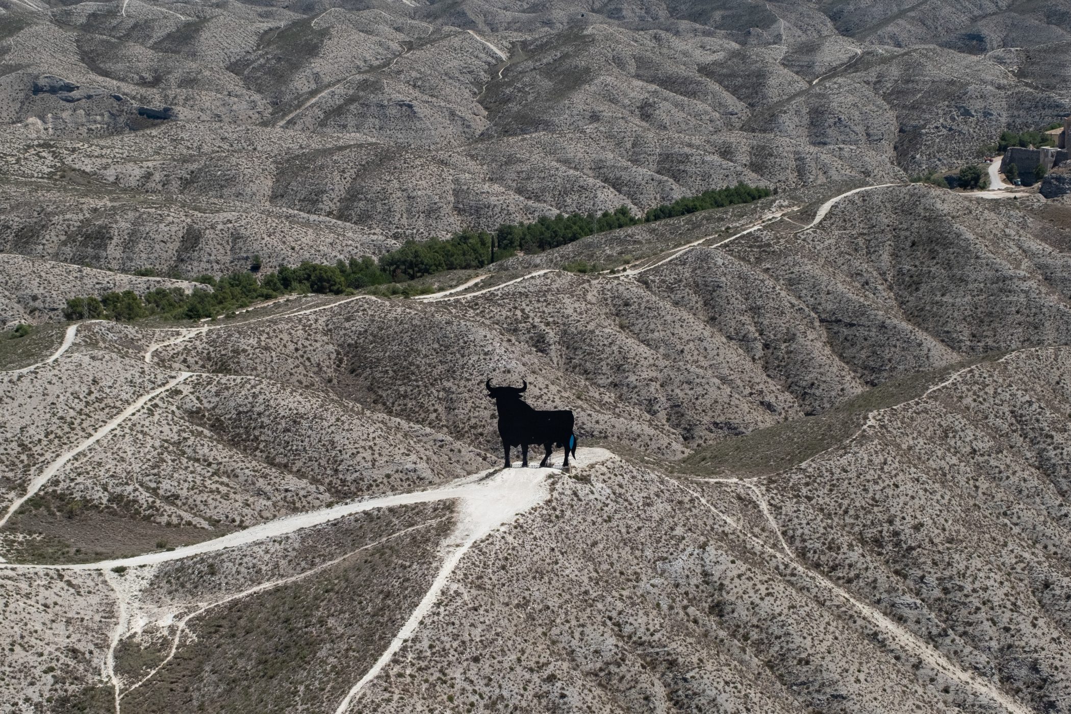 Un 'toro de Osborne' en medio del desierto, Alfajarín, Zaragoza, Aragón, España. ©Greenpeace/Pedro Armestre