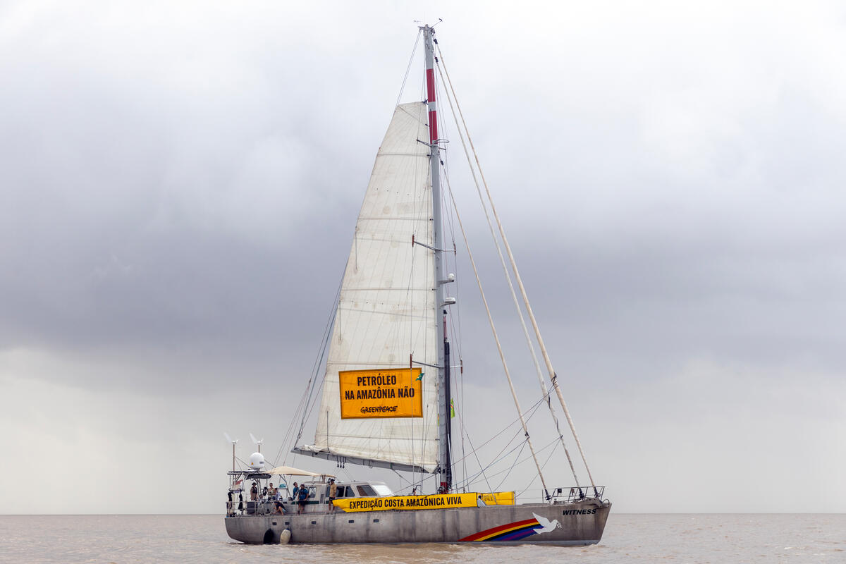 El Witness en su última expedición en Brasil.