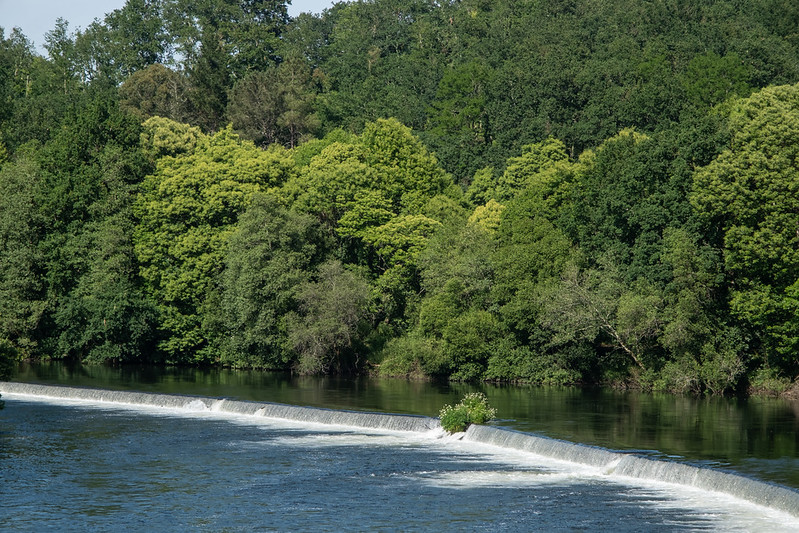A Ulloa en riesgo por Altri