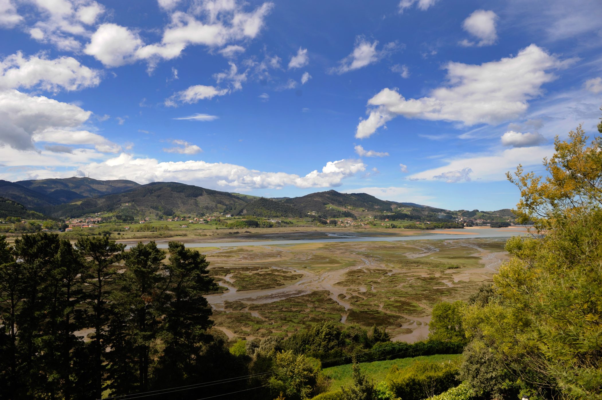 Reserva de la biosfera de Urdaibai. Vizcaya, País Vasco, España.