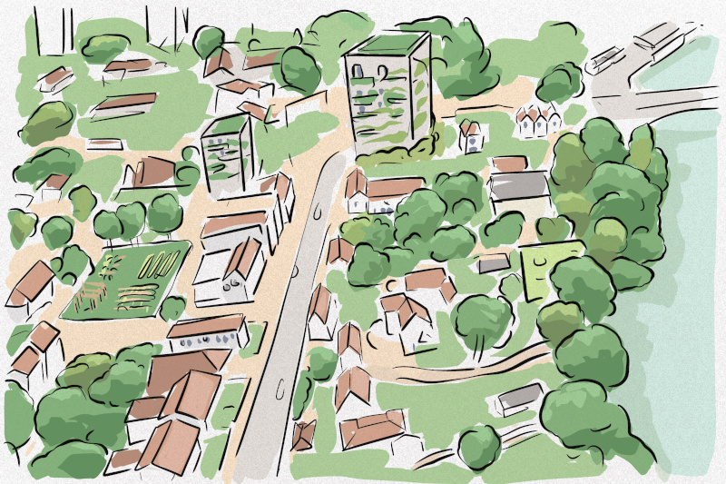 Greenpeace y  ciudades verdes