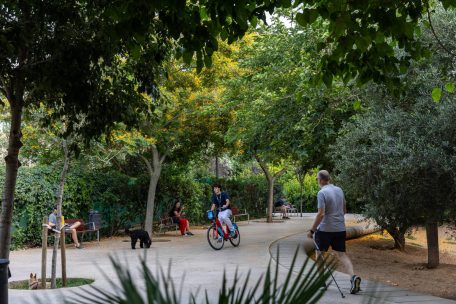 Zona con árboles en Barcelona