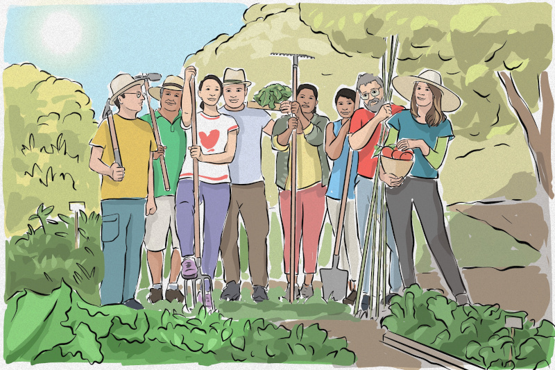 Huertos urbanos para combatir el calor