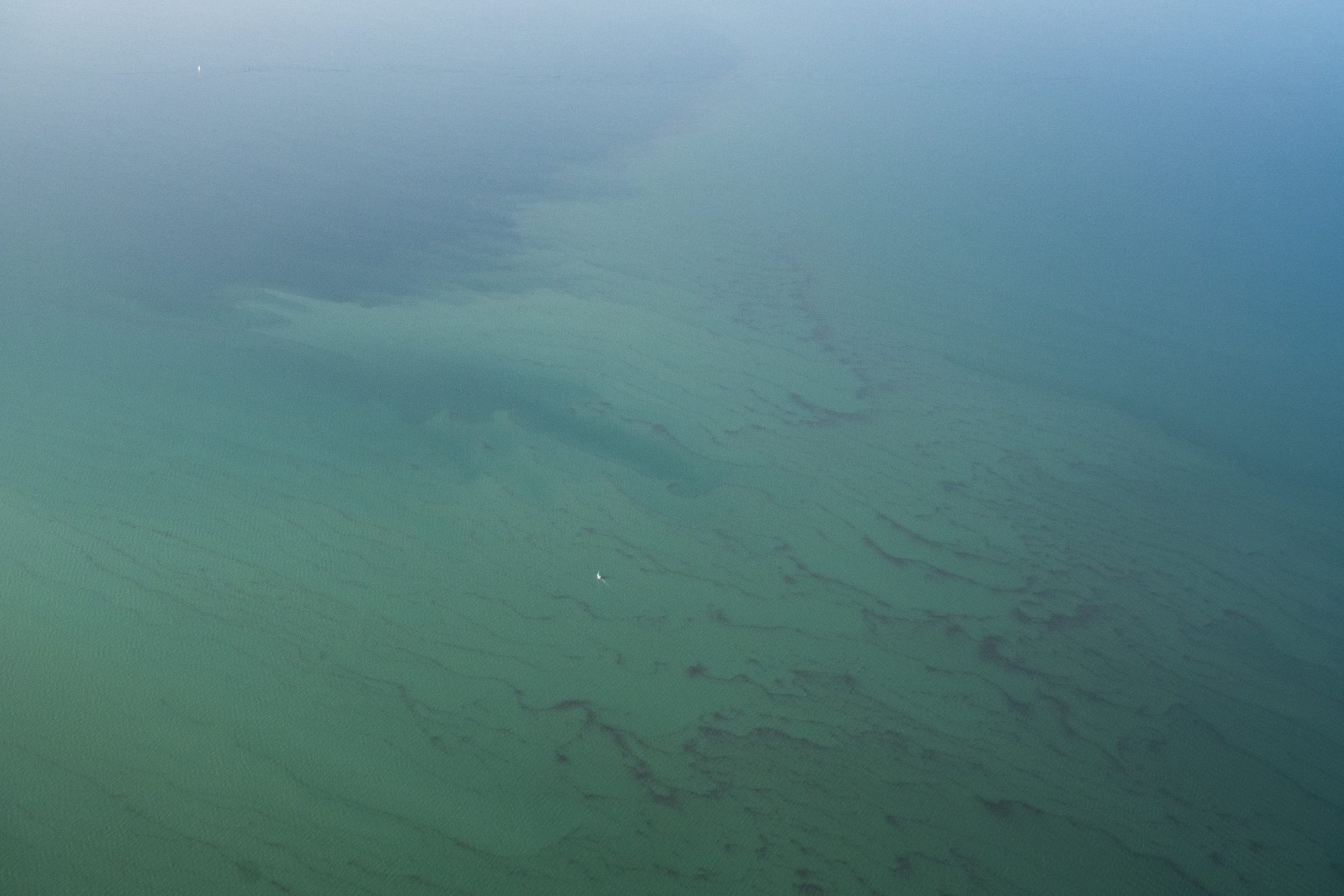 Imágenes aéreas mancha Mar Menor amenaza el ecosistema y biodiversidad