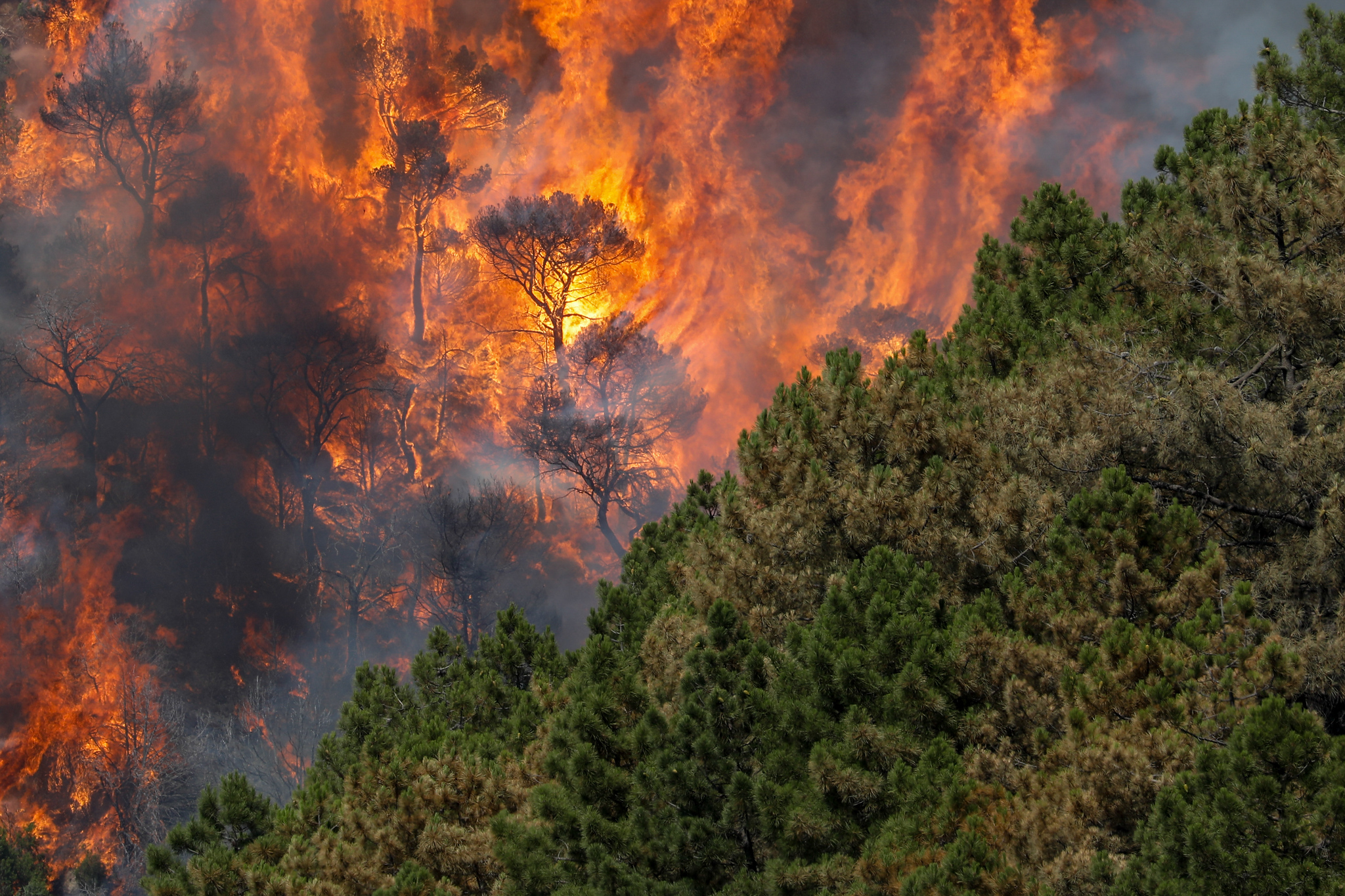 Incendio forestal de Cebreros, Ávila