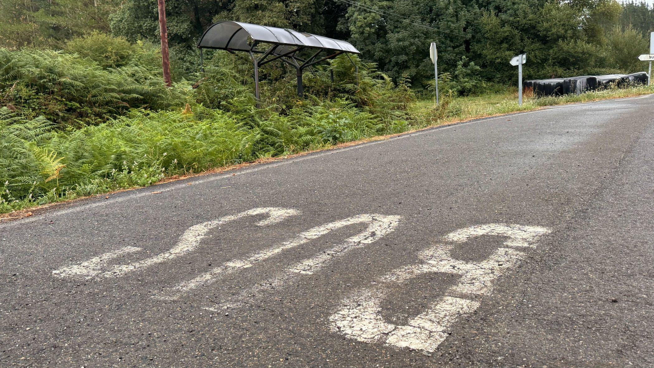 Parada de bus tomada por la vegetación en Rioxoán, concello de Pol, Lugo.