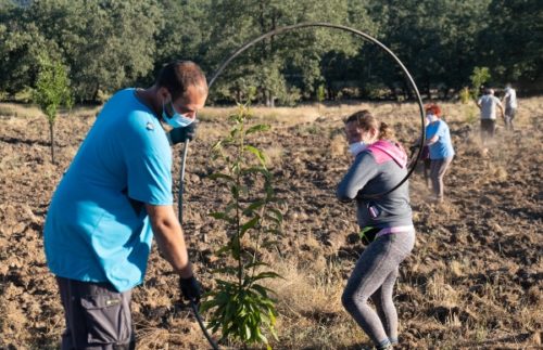 proyecto incendios forestales