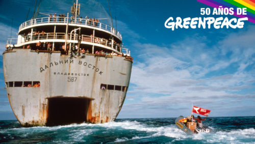 50 aniversari greenpeace