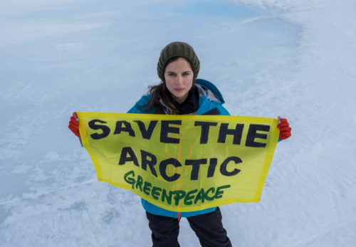 Artikoak aire girotu bat bezala funtzionatzen du eta mundo mailako klima haren esku egon arren planetako ozeanorik babesgabetuena izaten jarraitzen du.