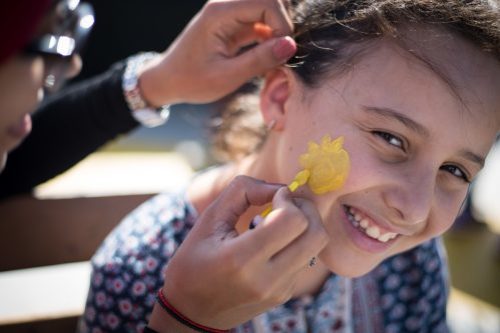 cambio climatico greenpeace